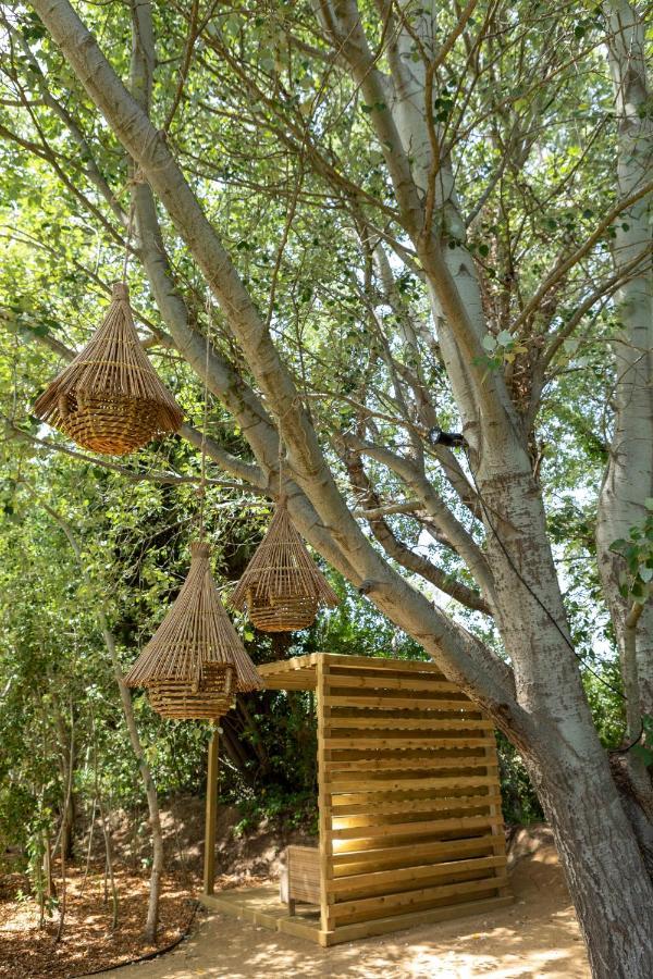 Turisme Rural Mas Ametller - Casa Gran Βίλα Fontclara Εξωτερικό φωτογραφία